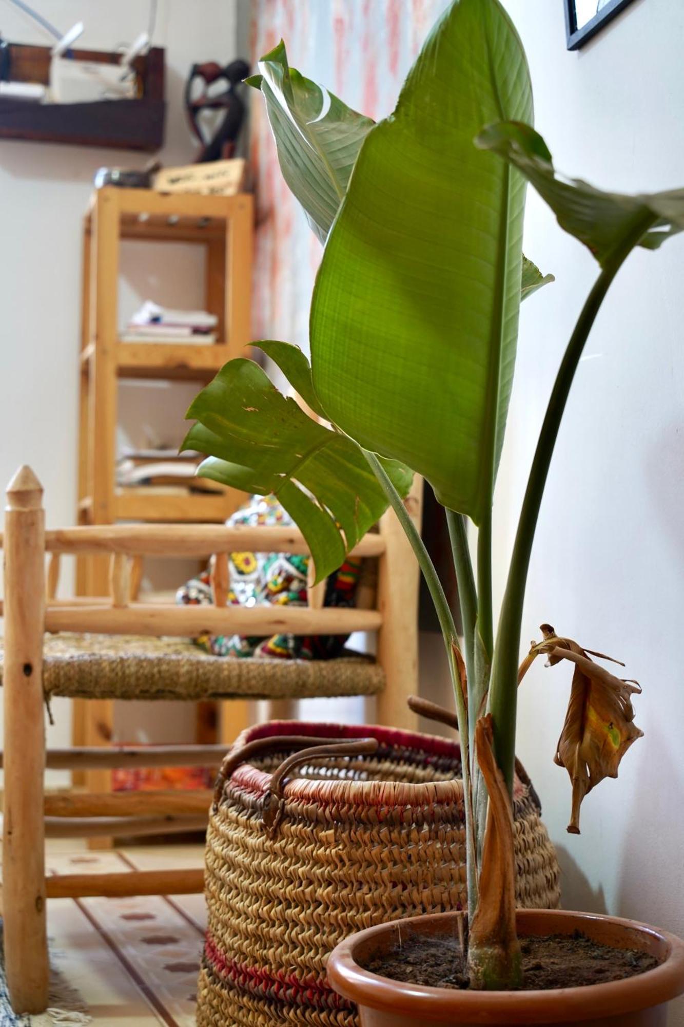 Hotel Kosasurfmorocco à Aourir Extérieur photo