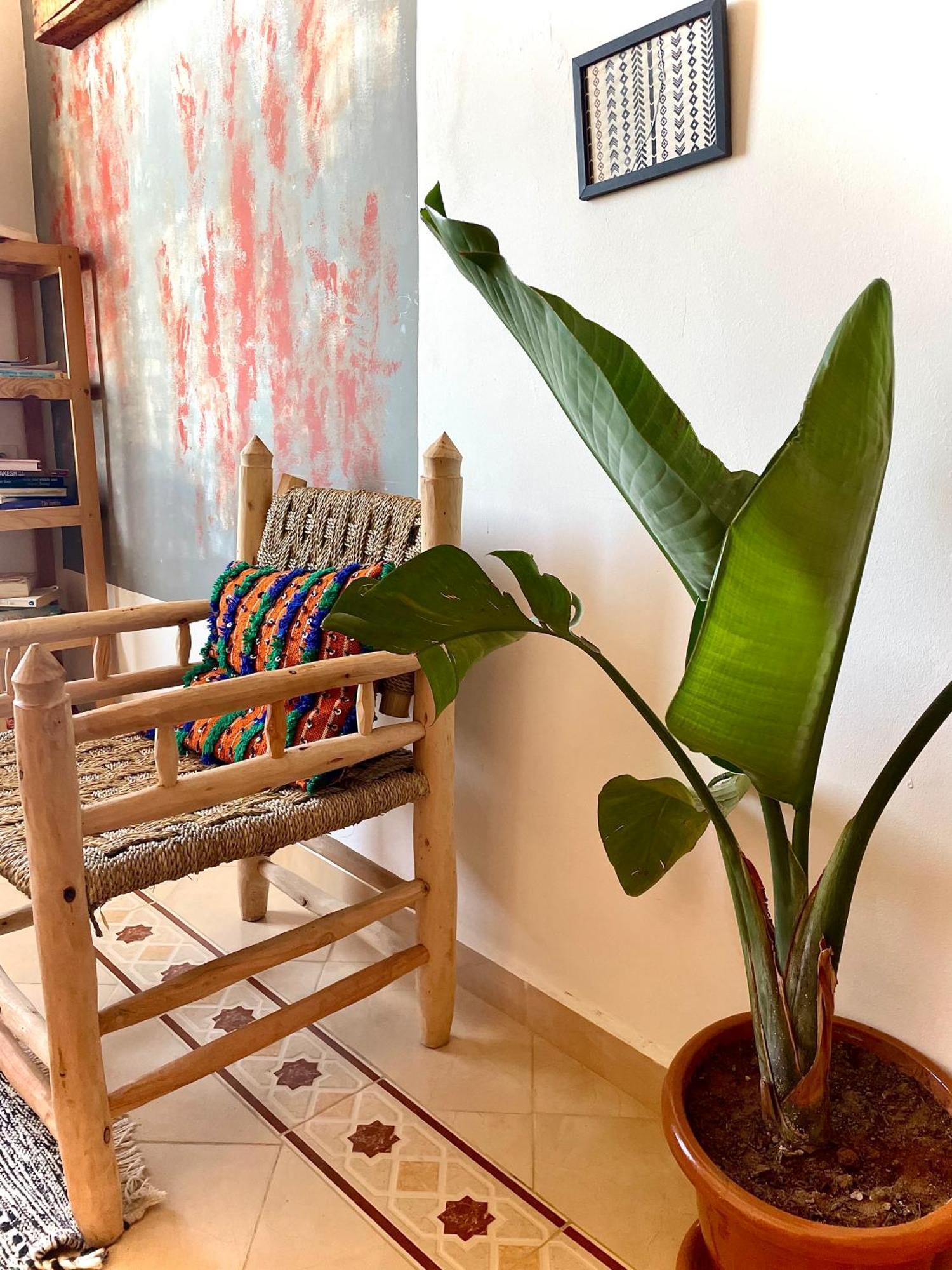 Hotel Kosasurfmorocco à Aourir Extérieur photo