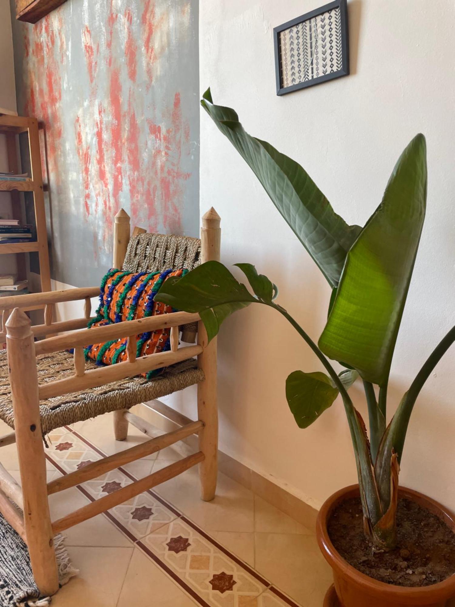 Hotel Kosasurfmorocco à Aourir Extérieur photo