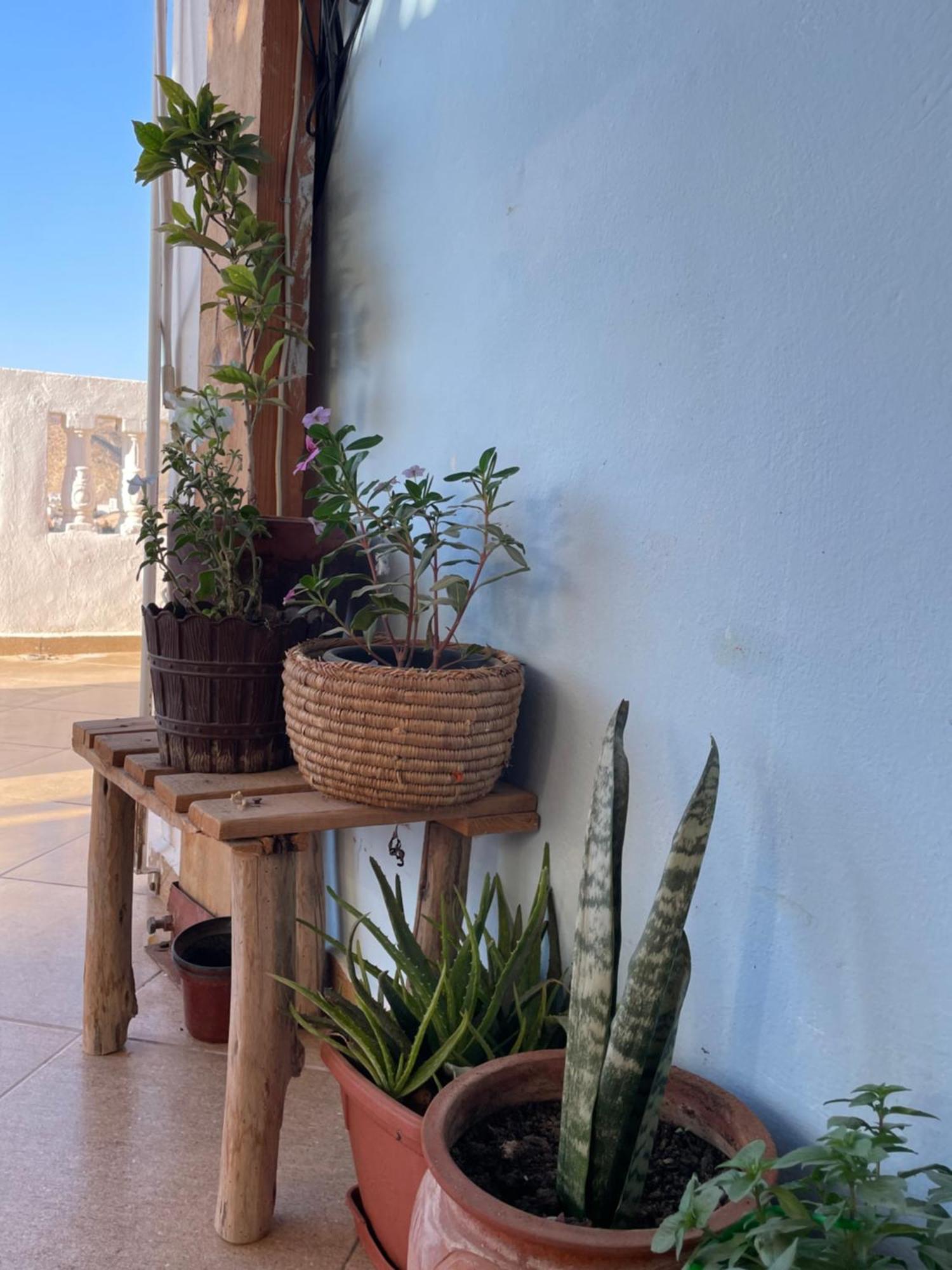 Hotel Kosasurfmorocco à Aourir Extérieur photo